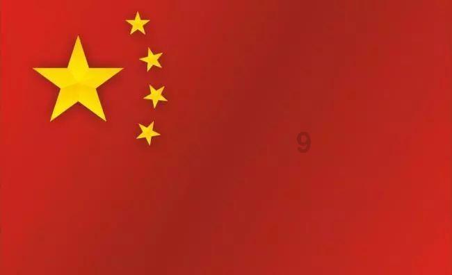 荷兰猪是什么动物啊?-全新问答类网站,解答你一切疑问