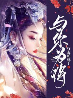 拿破仑王朝政局不稳,普鲁士经济受阻,普法最终触发了战争剧情
